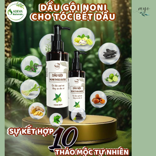Dầu Gội Noni Thảo Dược Adeva 250ml/ 500ml Phù Hợp Với Tóc Bết Dầu - Ảnh 2