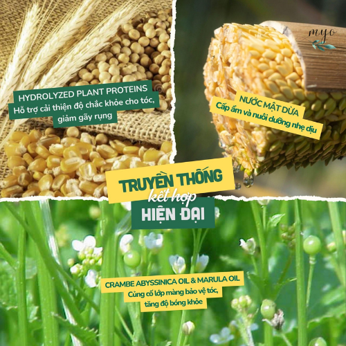 Nước Dưỡng Tóc Cobote 30ml/ 100ml - Xịt Dưỡng Tóc Thơm Mượt - Ảnh 5