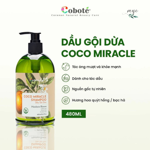 Dầu Gội Dừa Cobote 100ml/ 480ml